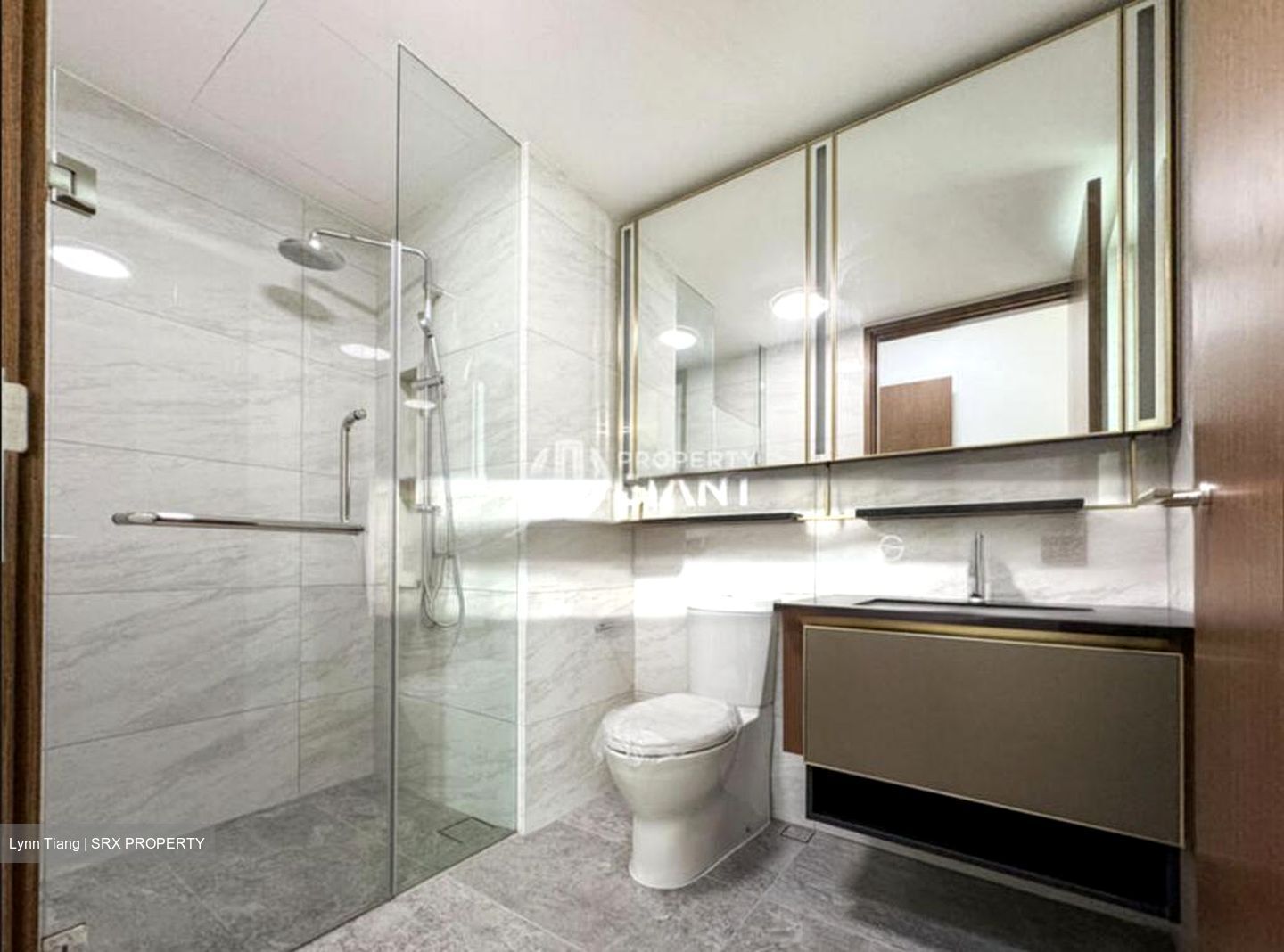 Normanton Park (D5), Apartment #504308121